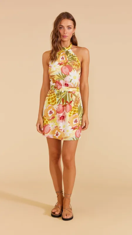 Domenica Mini Dress sold by MINKPINK