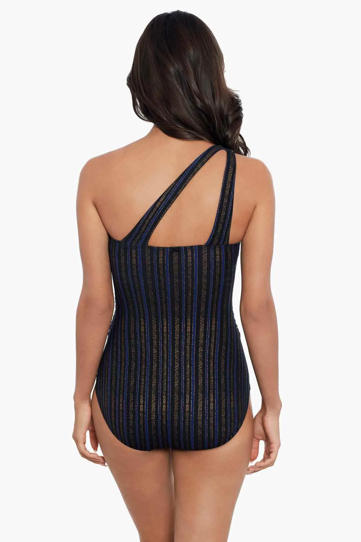 Chambord One Piece in Chateau sold by Miraclesuit product image thumbnail 5
