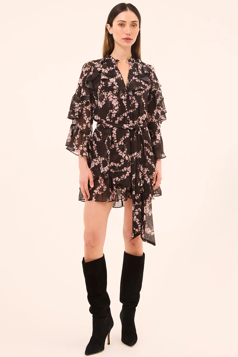 Hana Dress sold by Misa Los Angeles product image thumbnail 2