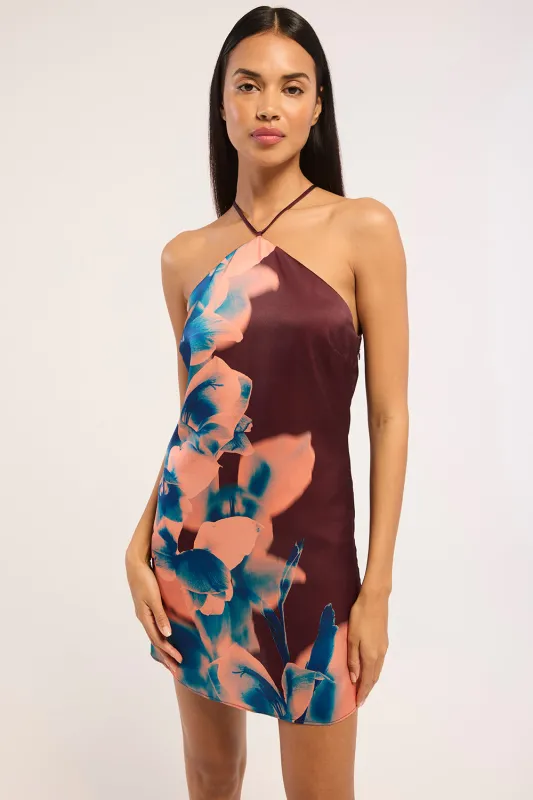AVRI DRESS made by Misa Los Angeles