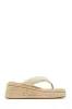 Neyla Platform Espadrille Thong Sandals - Nude sold by Miss Lola