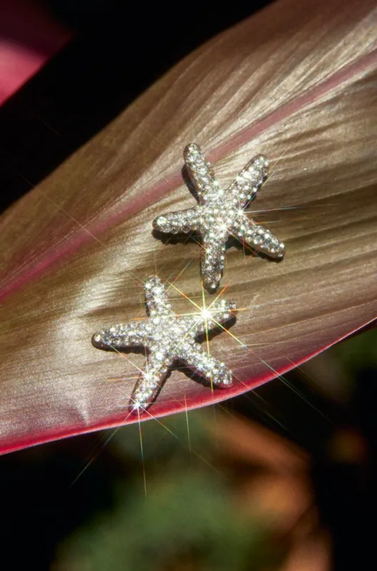 Stellar Night Embellished Starfish Earrings - Silver sold by Miss Lola