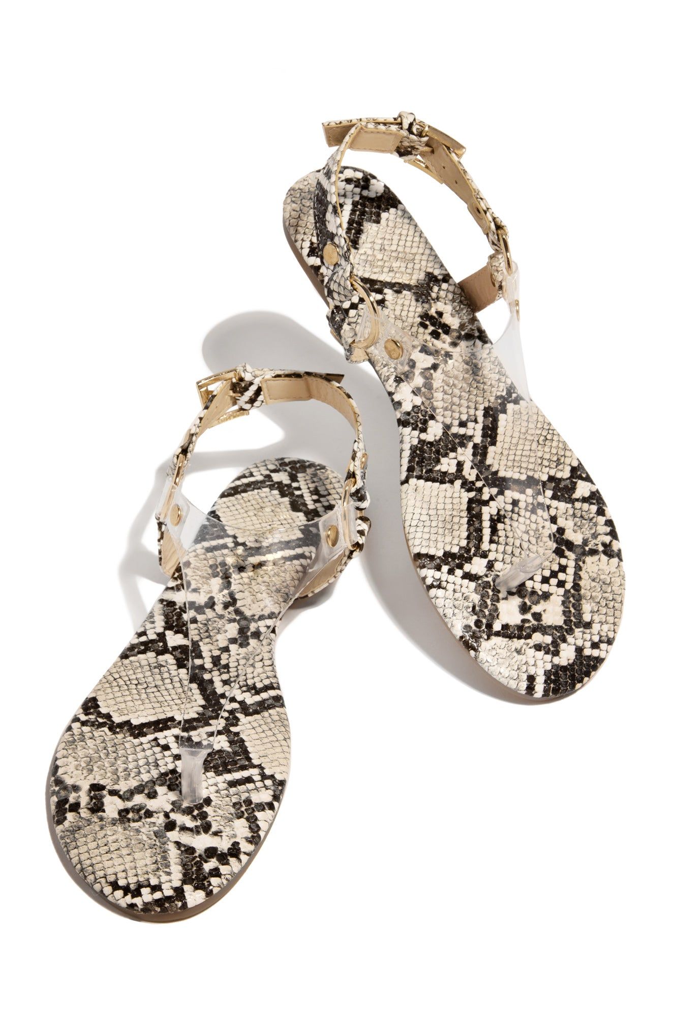 Make Plans - Snake sold by Miss Lola product image thumbnail 4