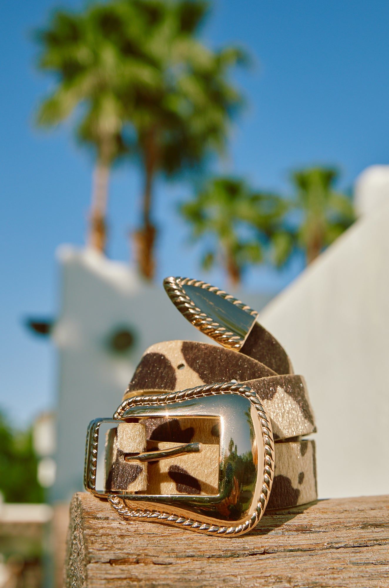 Wild Moment Western Belt - Cow sold by Miss Lola