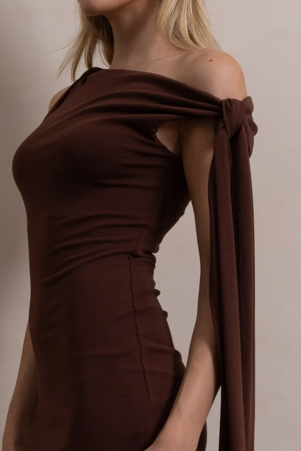 Ariana Mini Dress - Brown sold by Miss Lola product image thumbnail 2
