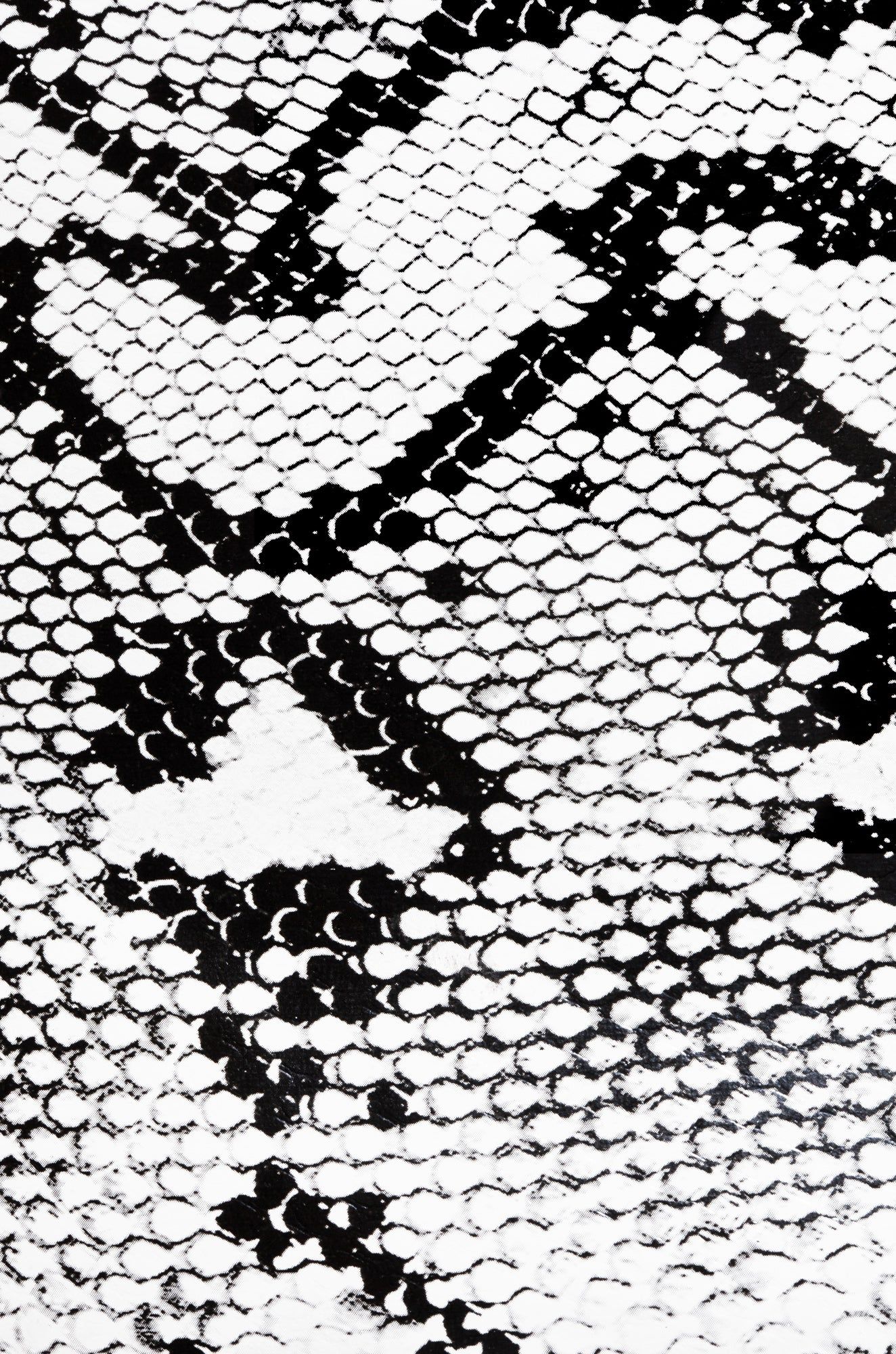 Big City Dreams - Snake sold by Miss Lola product image thumbnail 4