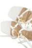 Stepping Out Lace Up Block Heels - White sold by Miss Lola