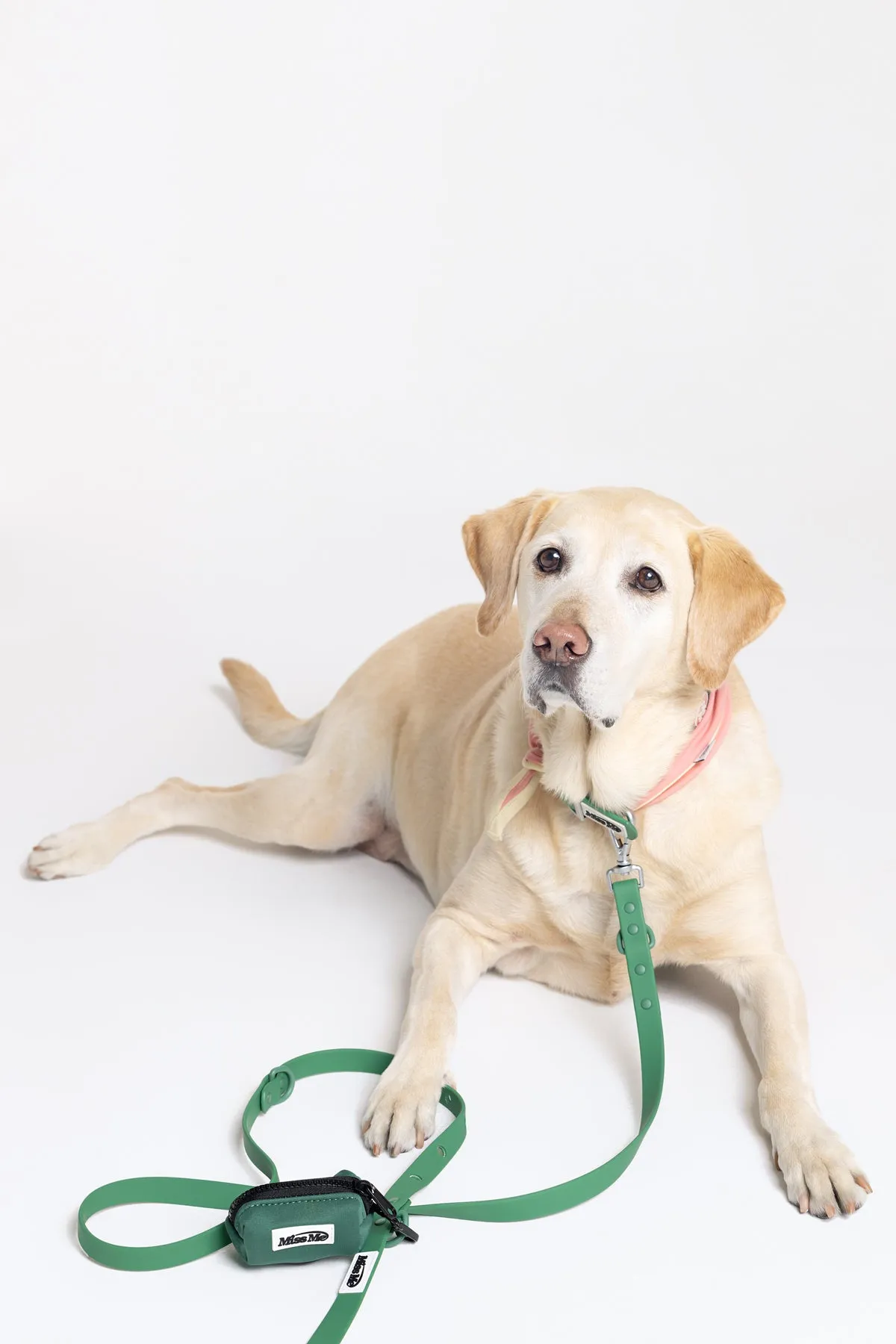 Pet Accessories sold by Miss Me