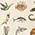 Animal Classy-fication Graphic Tee sold by Modcloth product image thumbnail 4