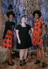 ModCloth x Dangerfield Bats in the Cradle Dress sold by Modcloth