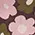 ModCloth x Princess Highway A Beautiful Bundle Graphic Sweater sold by Modcloth product image thumbnail 4