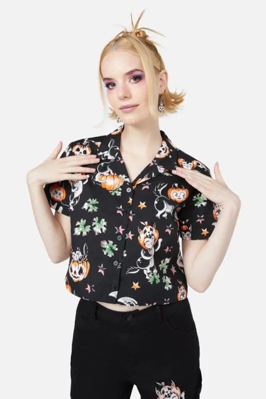 Pumpkin Patch Kitty Blouse sold by Modcloth