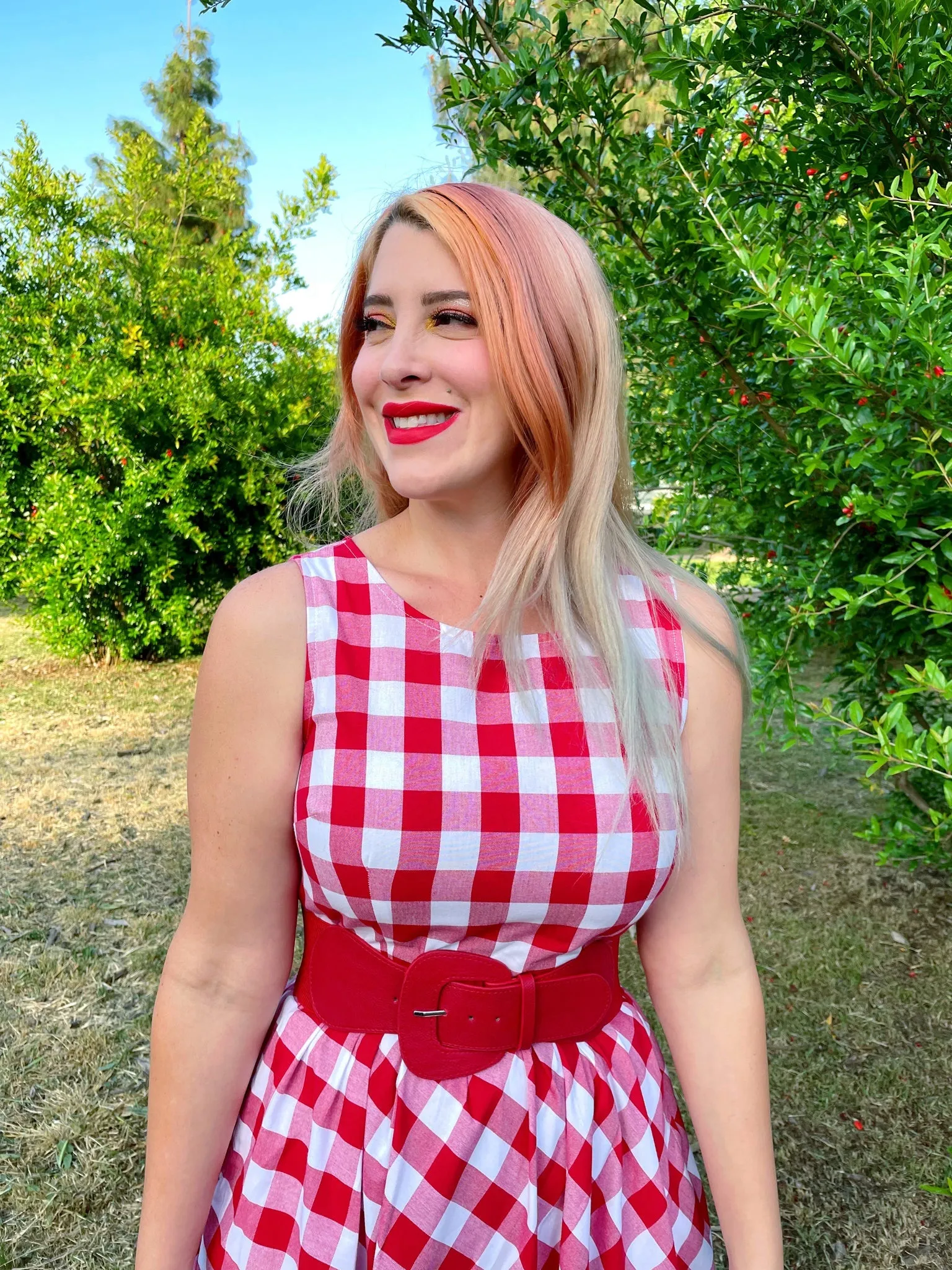 Gingham Midi Dress sold by Modcloth product image thumbnail 3