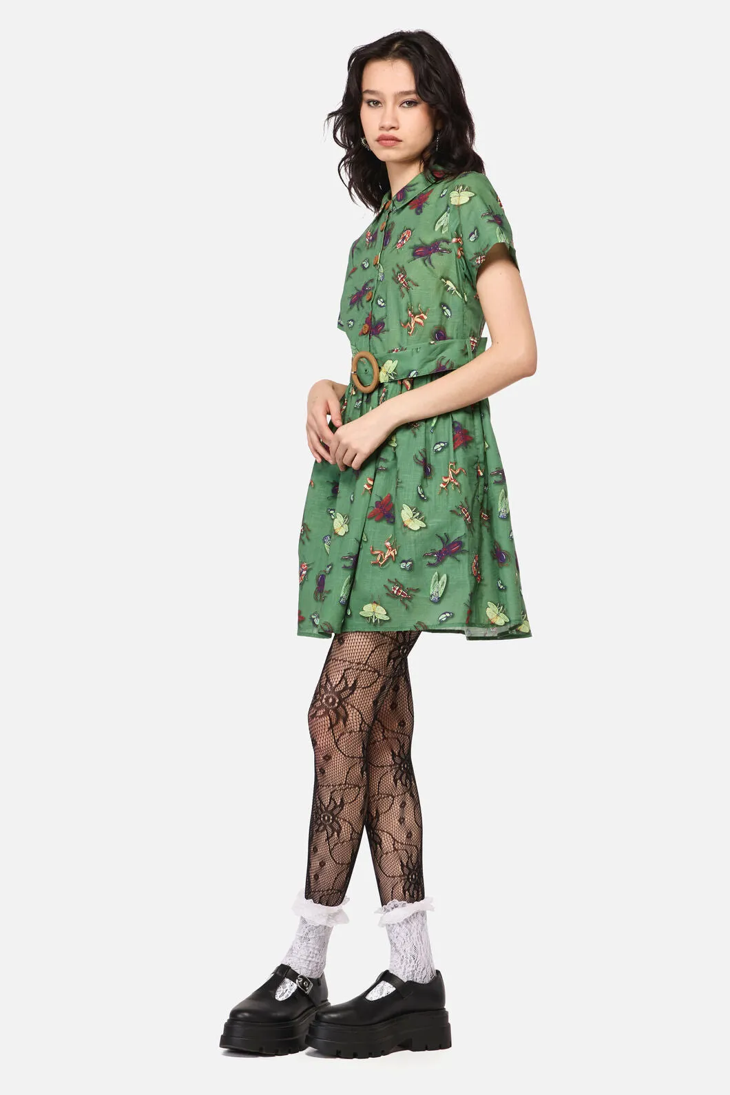 Entomology Print Dress sold by Modcloth product image thumbnail 3