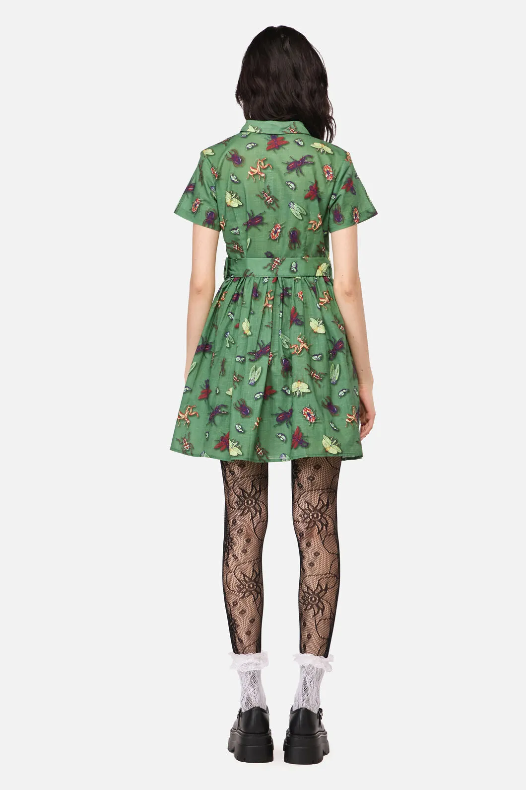 Entomology Print Dress sold by Modcloth product image thumbnail 4