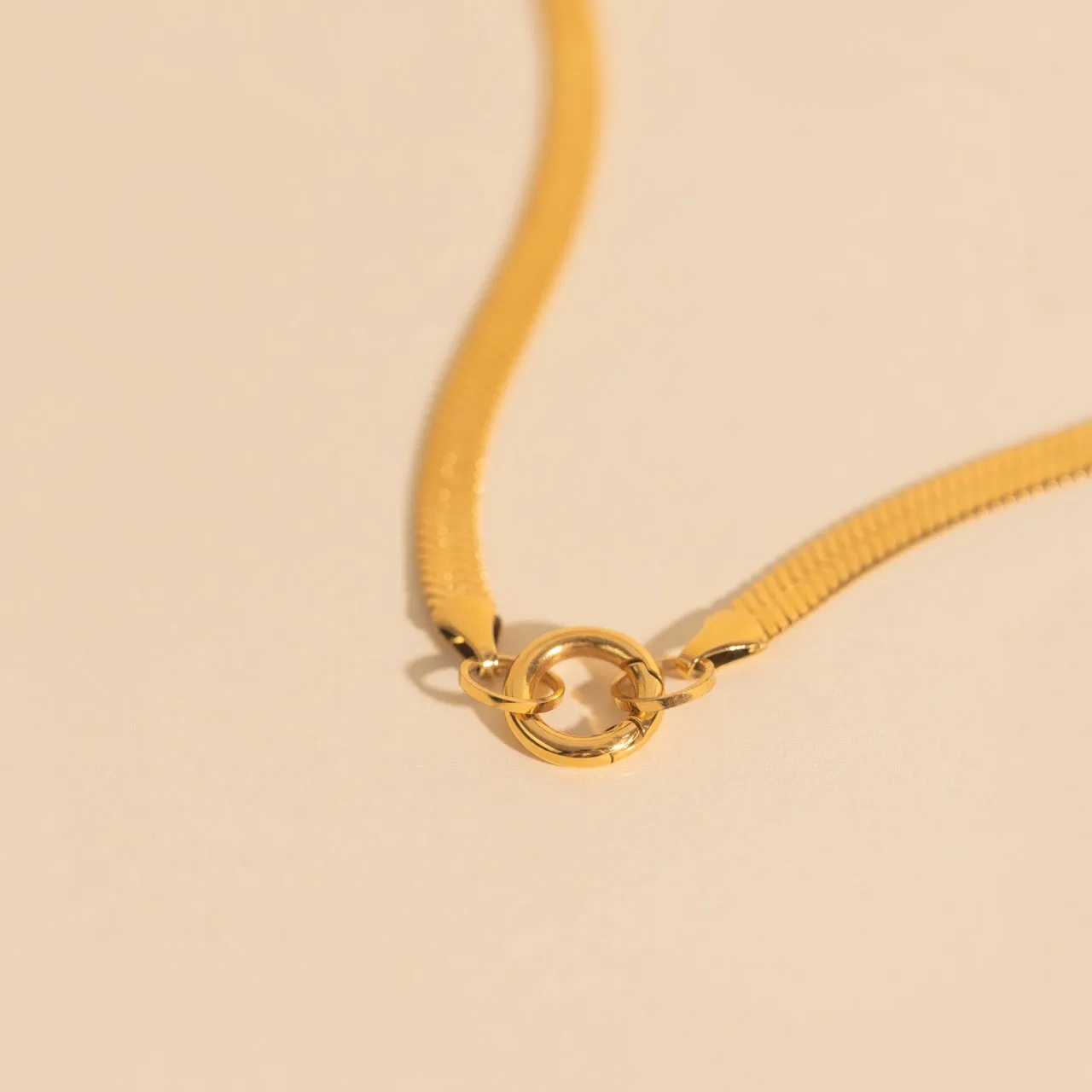 Snake Chain Necklace sold by Modcloth product image thumbnail 4