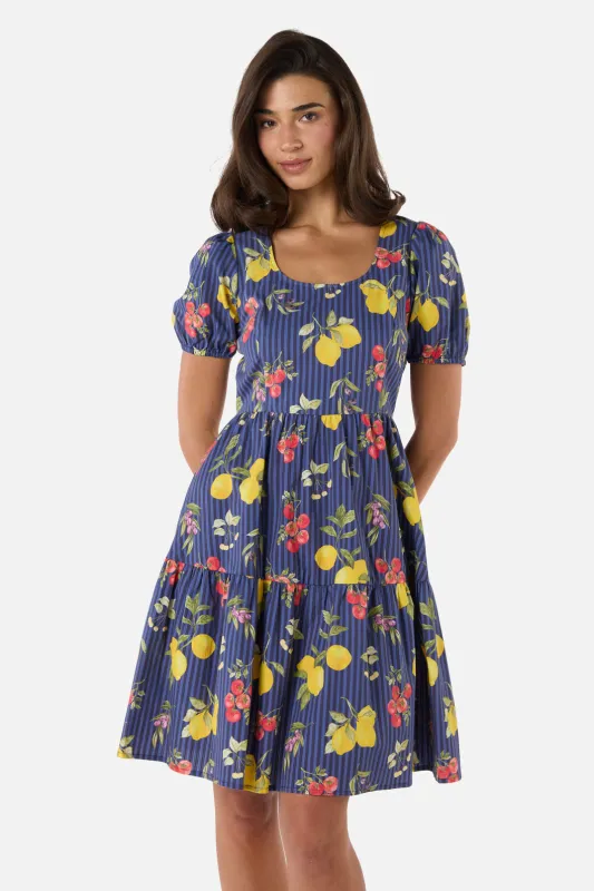 Carla Picnic Mini Dress sold by Modcloth