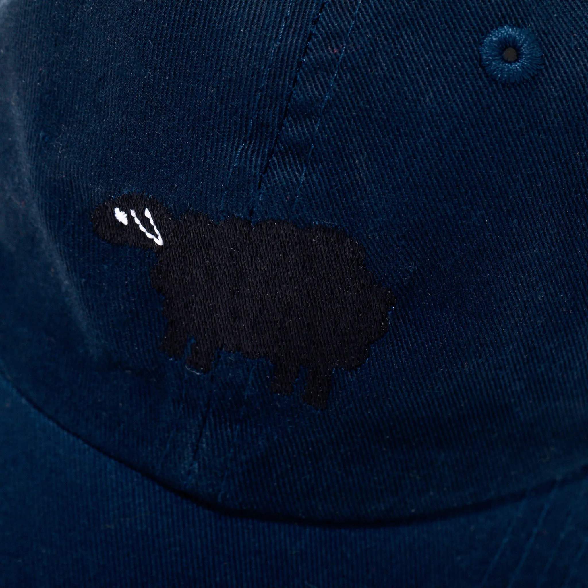 Black Sheep Baseball Hat sold by Modcloth product image thumbnail 2