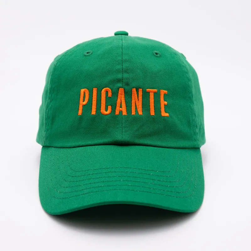 Picante Baseball Hat made by Modcloth