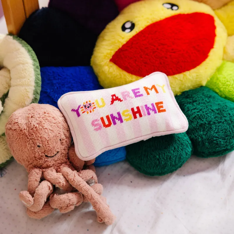 Needlepoint Pillow - You Are My Sunshine made by Modcloth