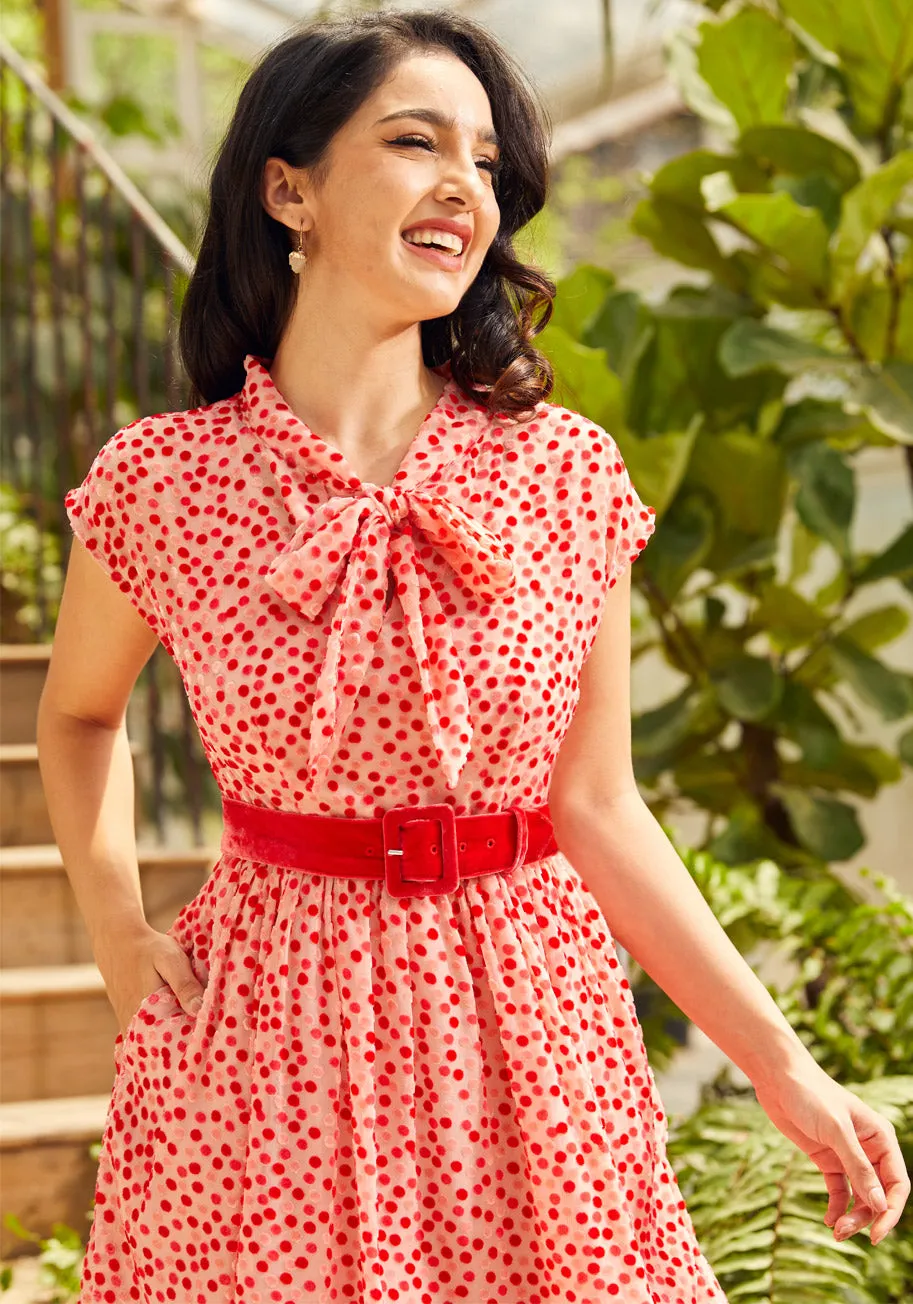 Confetti Confection Fit And Flare Dress sold by Modcloth product image thumbnail 4