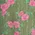 Coming Up Winter Roses Blouse sold by Modcloth product image thumbnail 4