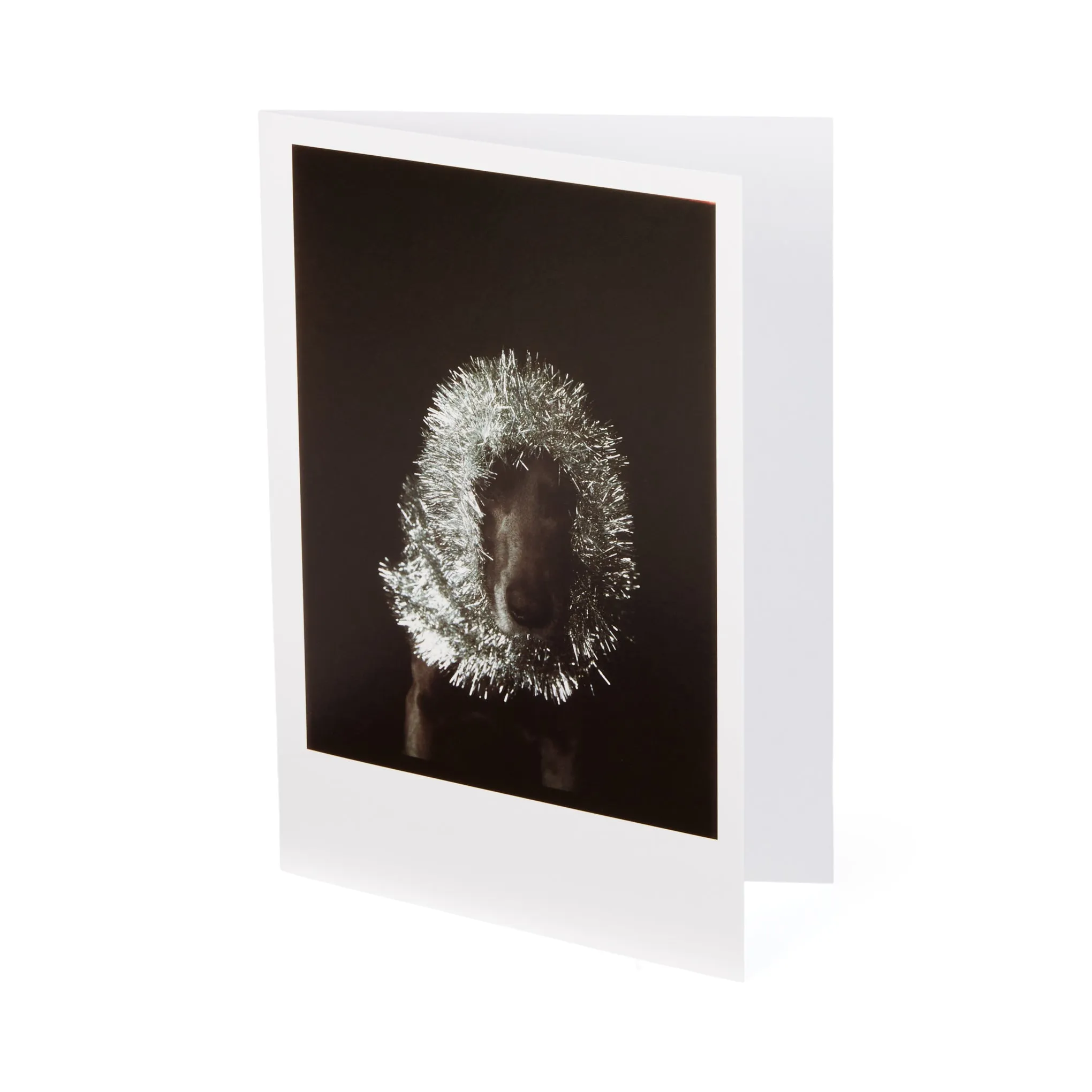 William Wegman Man Ray with Tinsel Holiday Cards - Set of 12 sold by Moma product image thumbnail 3