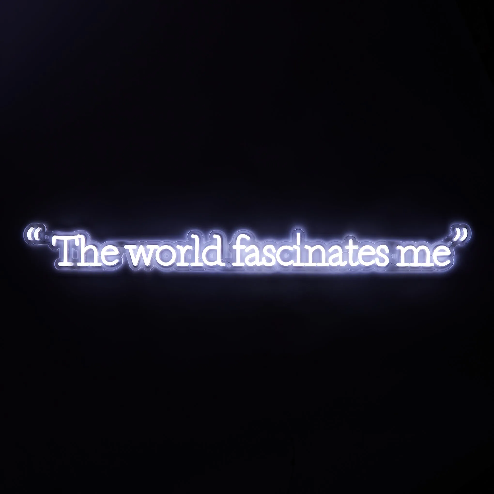 Andy Warhol The World Fascinates Me Quote Neon Sign sold by Moma