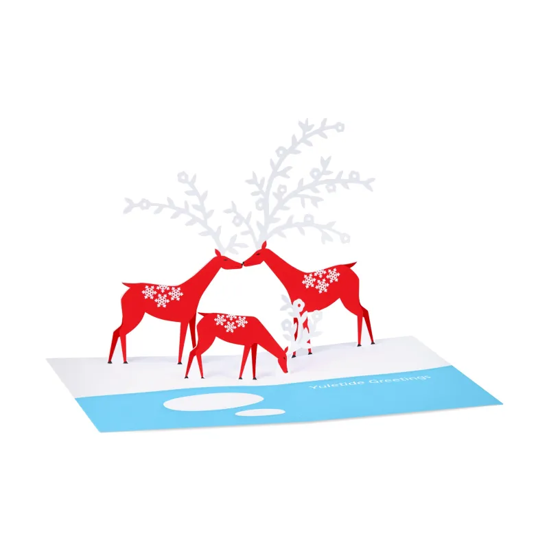 Yule Deer Holiday Pop-Up Cards - Set of 8 sold by Moma