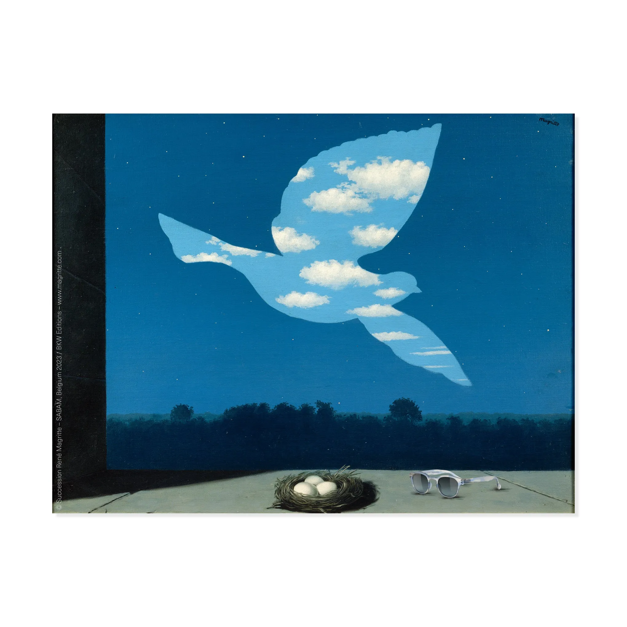 IZIPIZI René Magritte Sunglasses - Clouds sold by Moma product image thumbnail 5