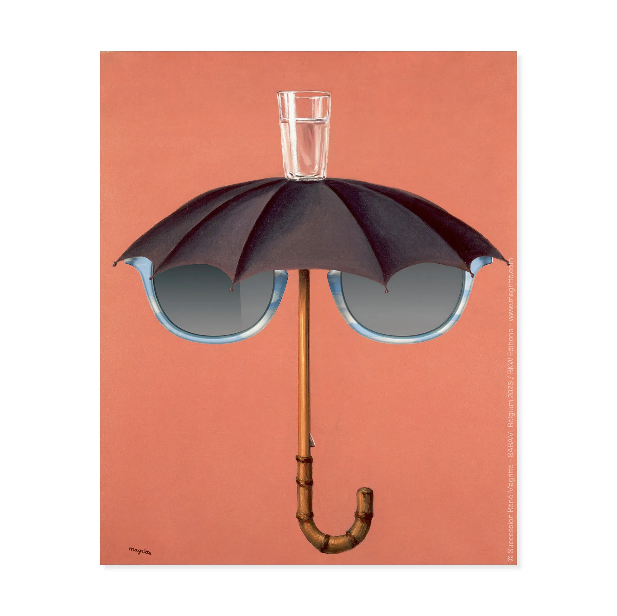 IZIPIZI René Magritte Sunglasses - Clouds sold by Moma product image thumbnail 4