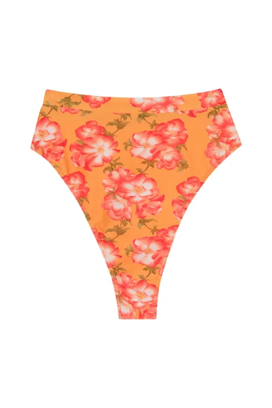 Riviera Bottom - Field of Dreams sold by Monday Swimwear
