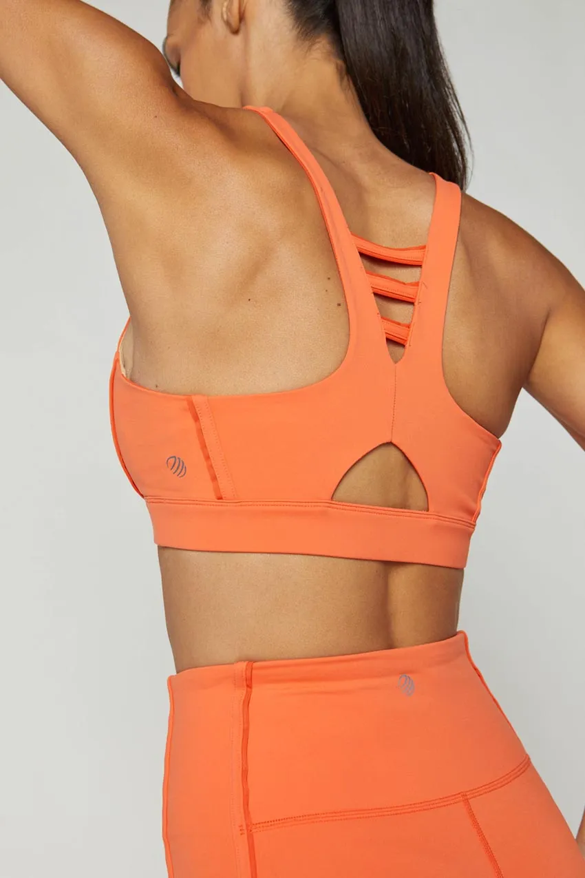 Rieko Bind Mesh Sports Bra sold by MPG product image thumbnail 5