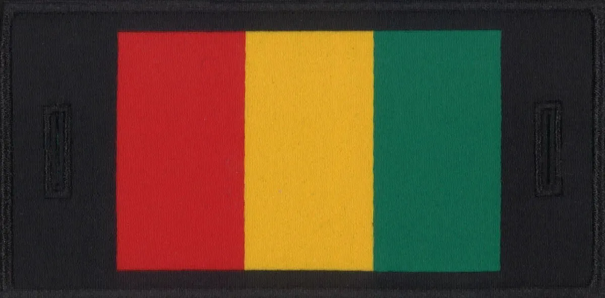 Guinea Patch sold by Mondetta product image thumbnail 2