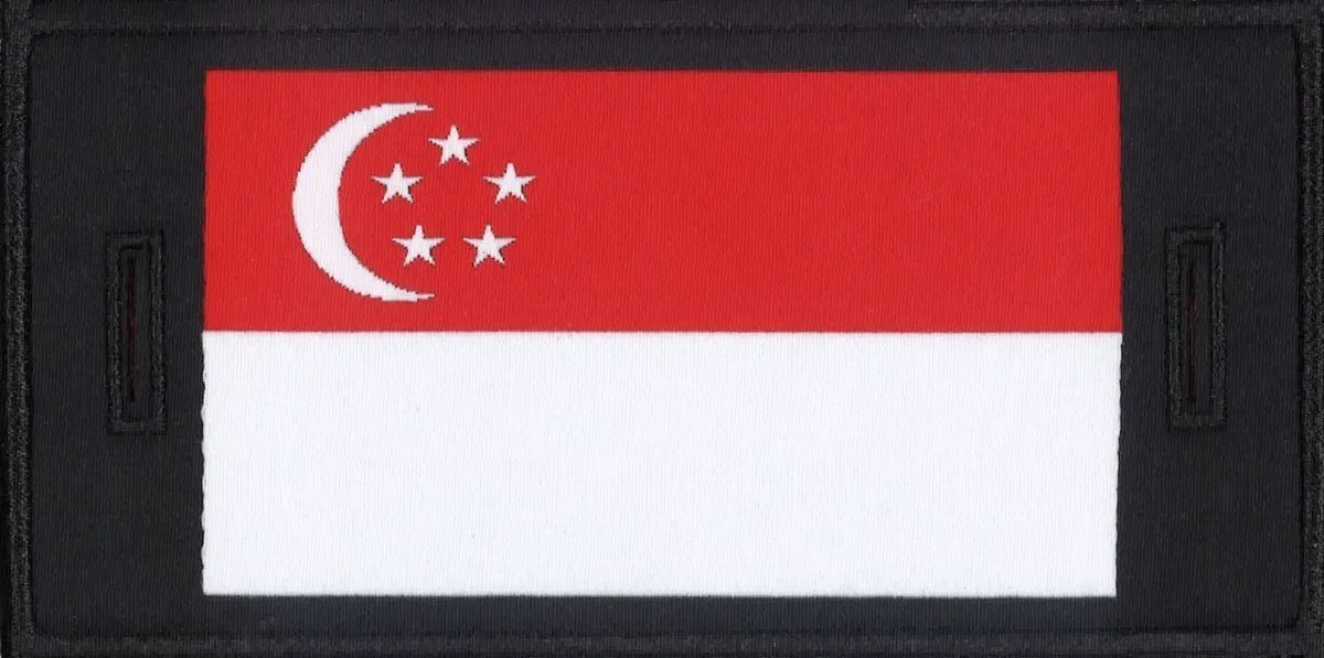 Singapore Patch sold by Mondetta product image thumbnail 2