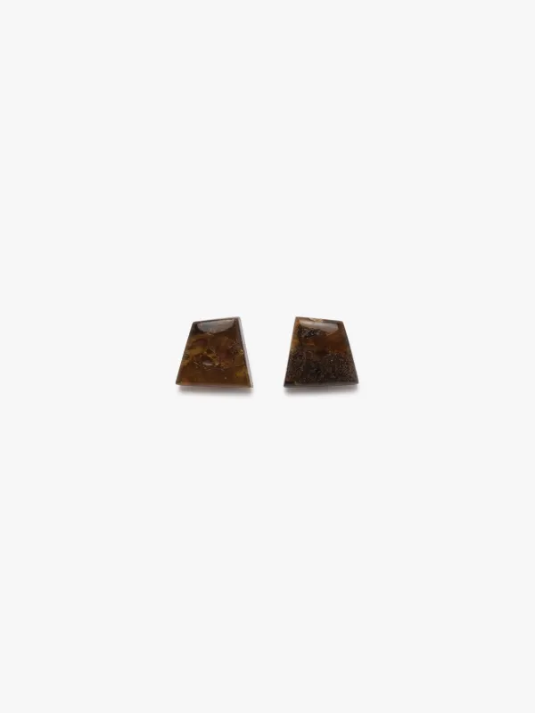 Earrings: amber, bog oak sold by Monies