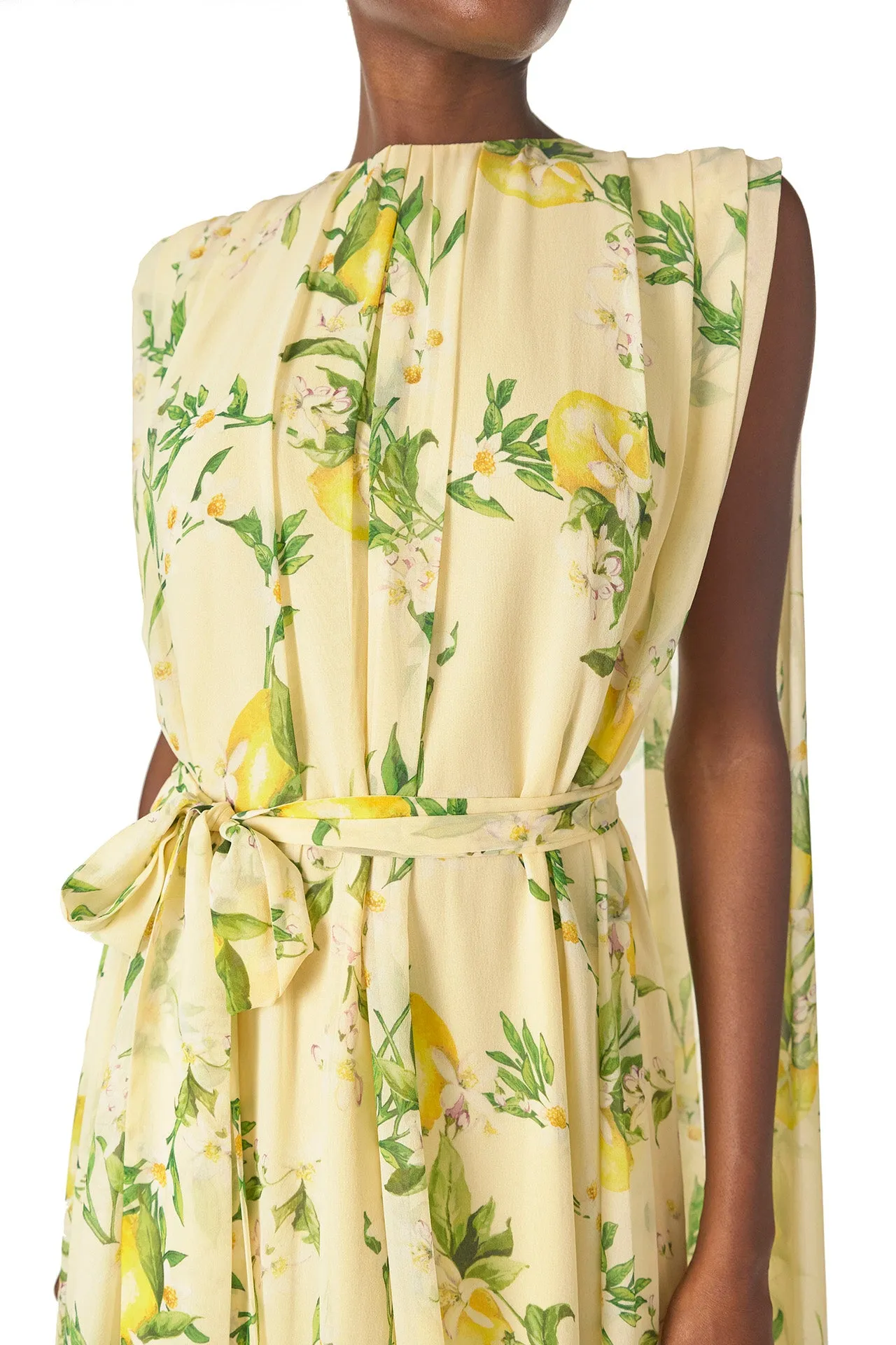 Lemon Print Georgette Gown sold by Monique Lhuillier product image thumbnail 5