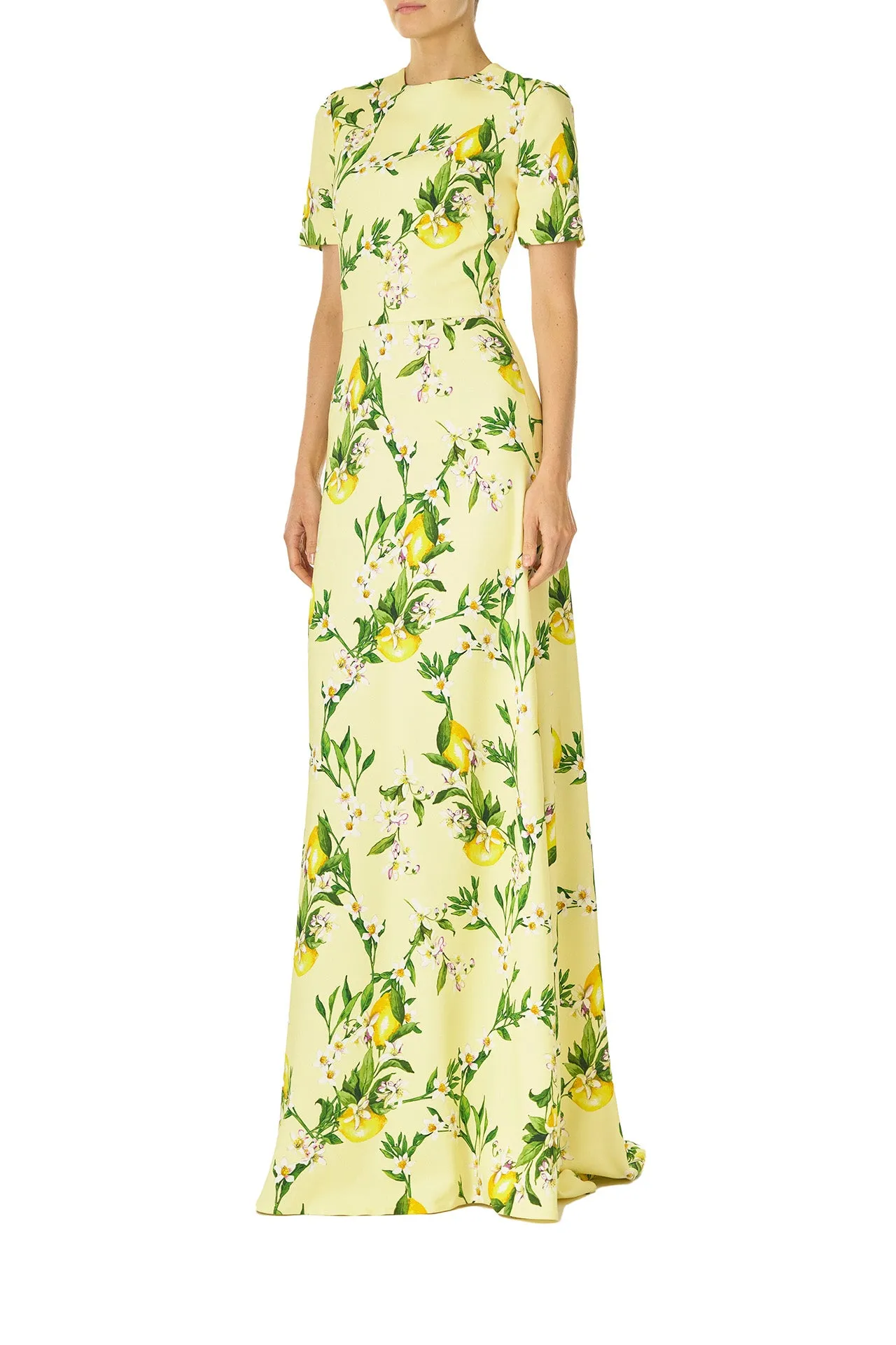 Short Sleeve Lemon Print Gown sold by Monique Lhuillier product image thumbnail 3