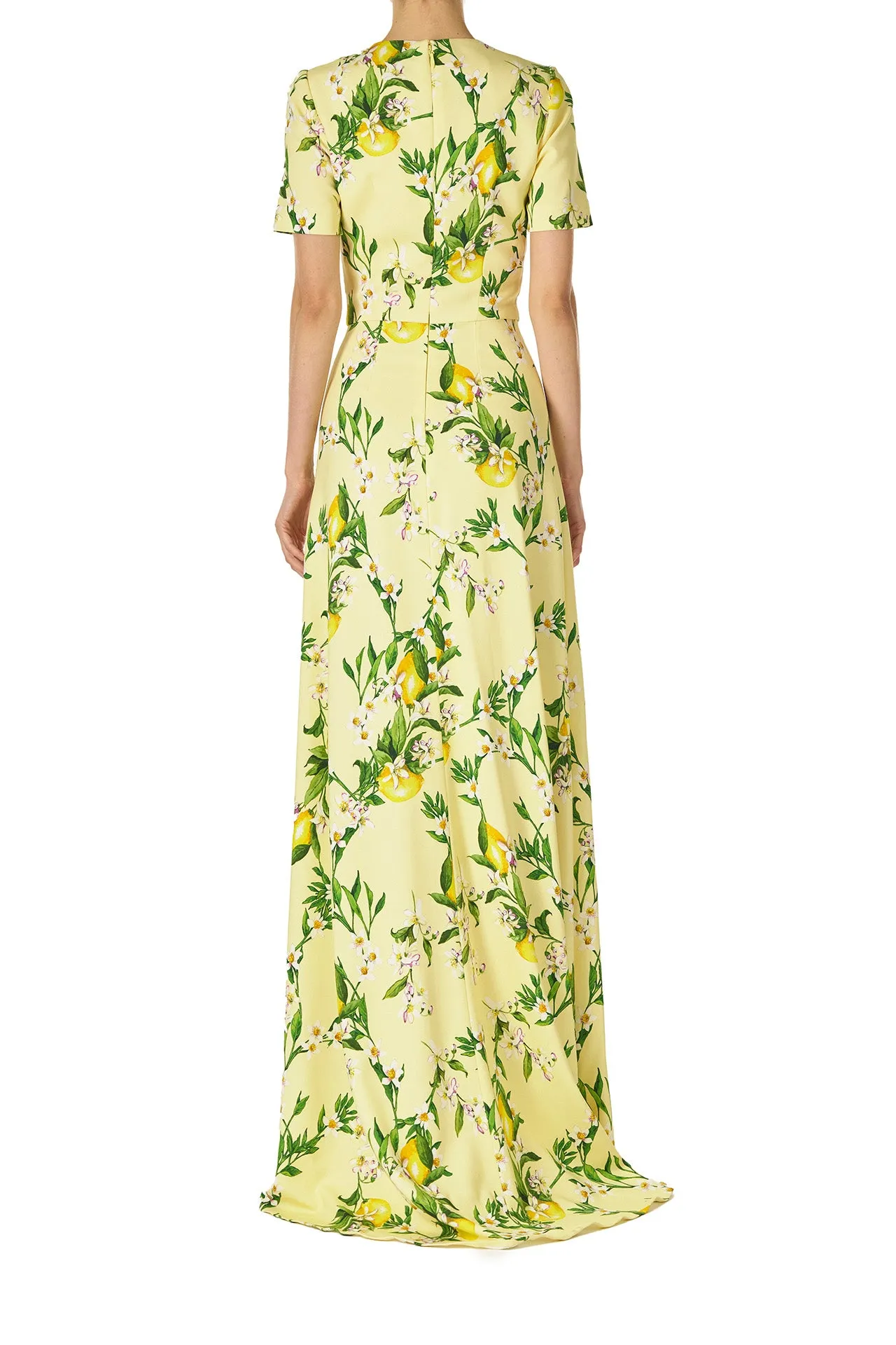 Short Sleeve Lemon Print Gown sold by Monique Lhuillier product image thumbnail 5
