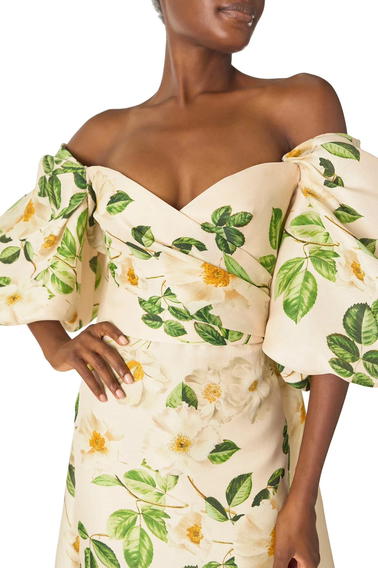 Rose Printed Blouson Cape sold by Monique Lhuillier product image thumbnail 2