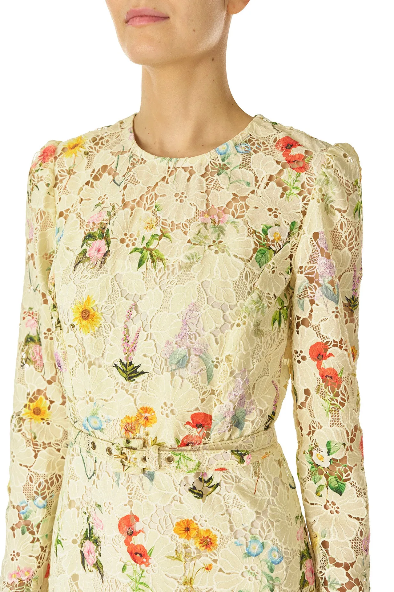 Limoncello Floral Lace Dress sold by Monique Lhuillier product image thumbnail 2