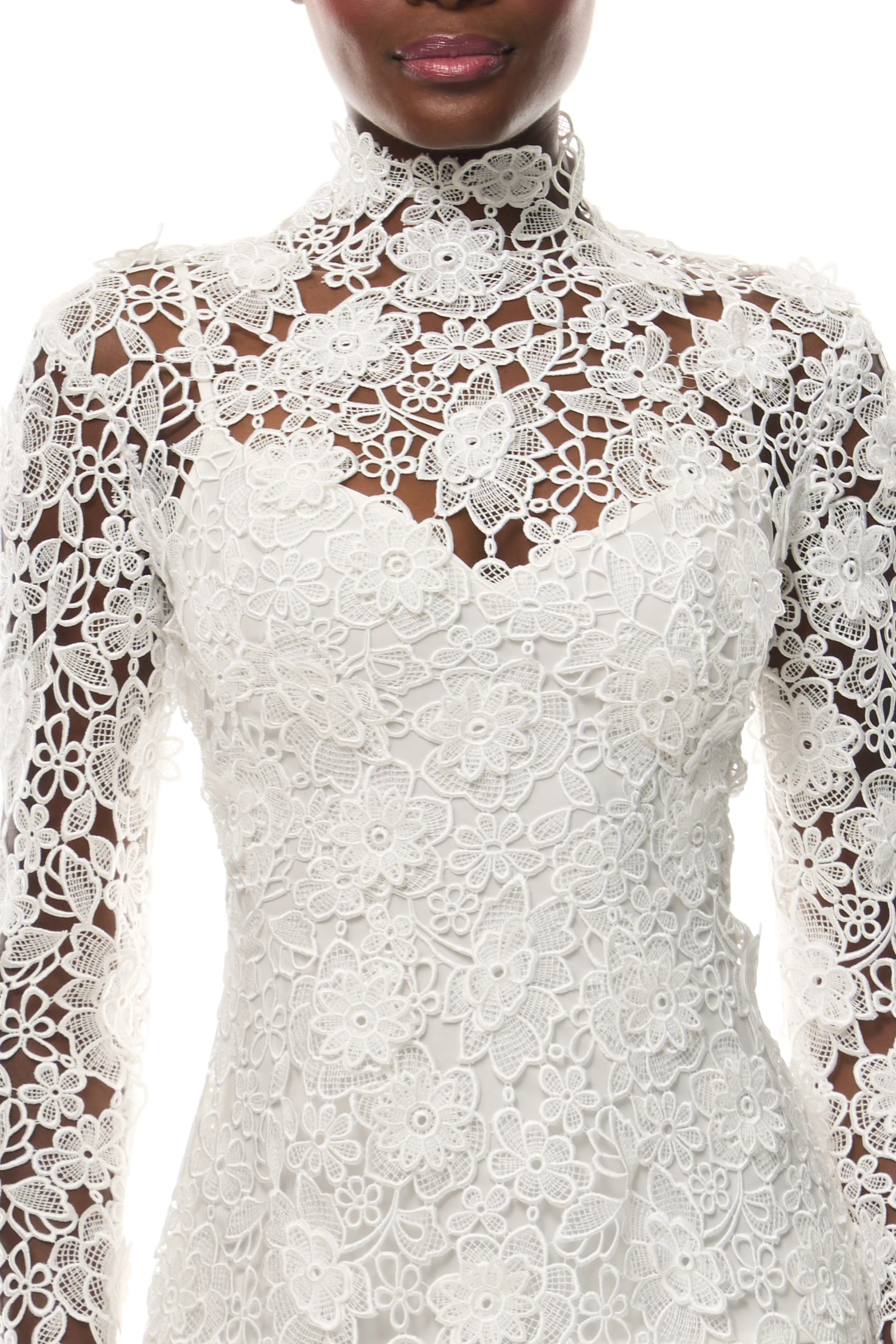 Novi Lace Dress sold by Monique Lhuillier product image thumbnail 2
