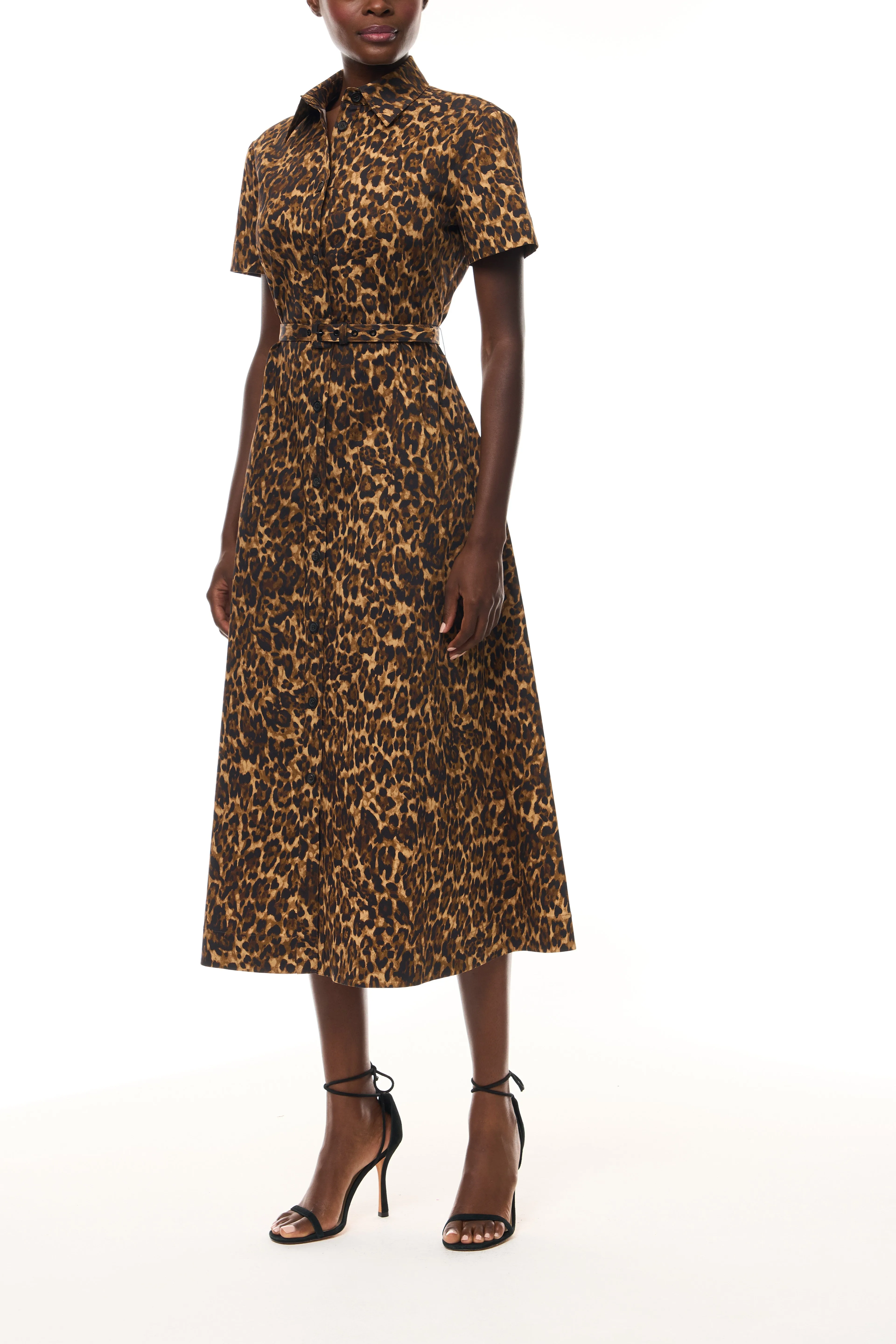 Leopard Poplin Shirt Dress sold by Monique Lhuillier product image thumbnail 3