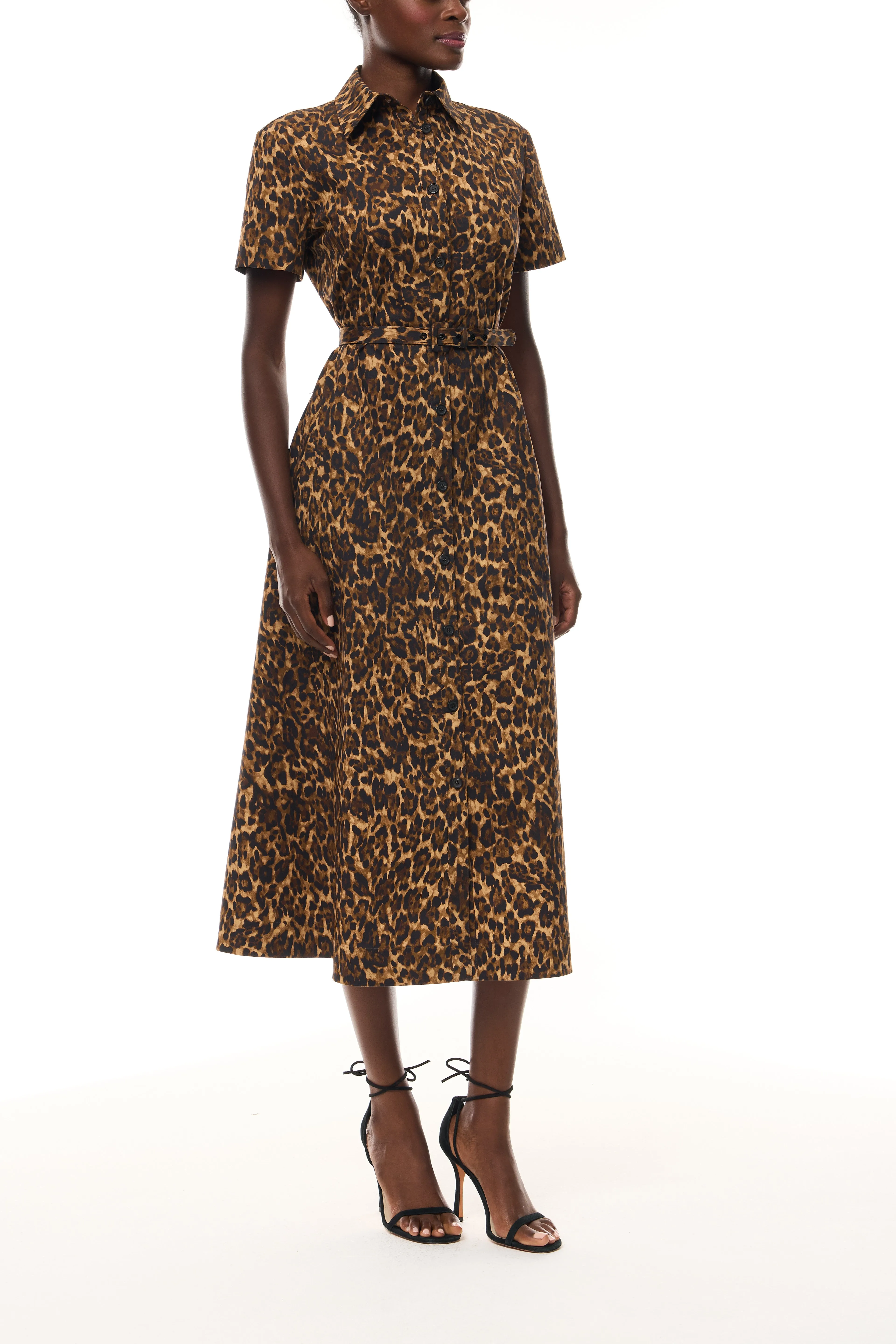 Leopard Poplin Shirt Dress sold by Monique Lhuillier product image thumbnail 5
