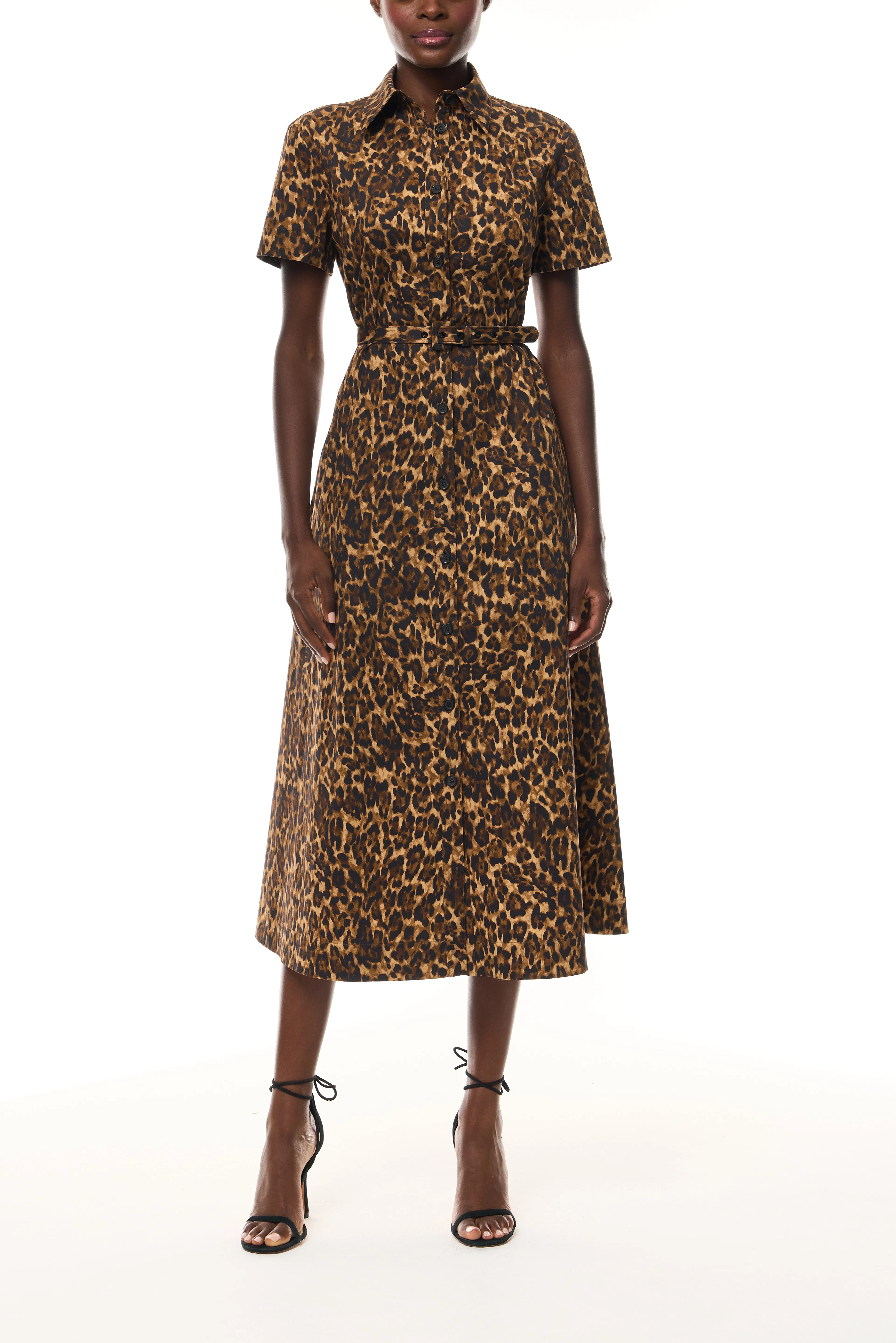 Leopard Poplin Shirt Dress sold by Monique Lhuillier product image thumbnail 4