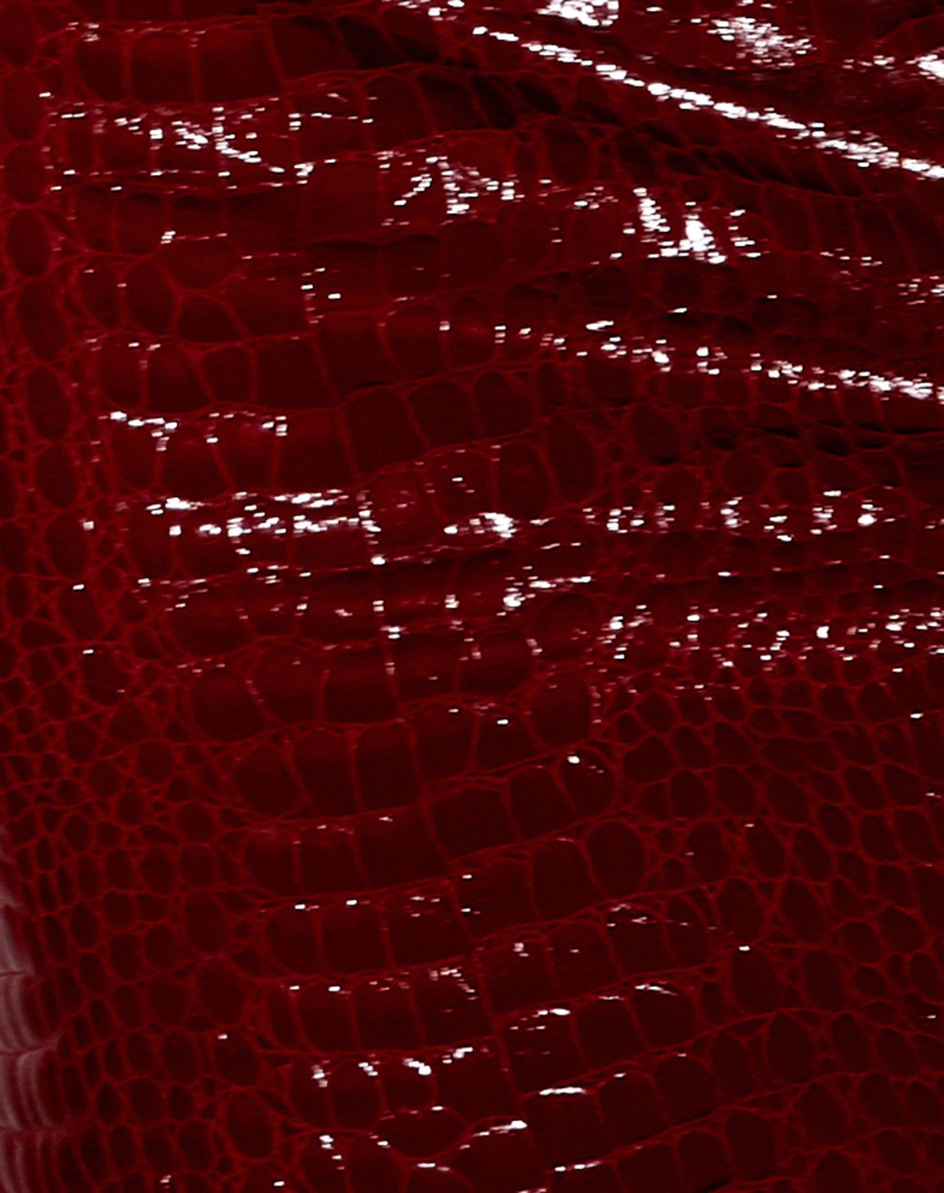 Wren Skirt in Croc PU Burgundy sold by Motel Rocks product image thumbnail 5