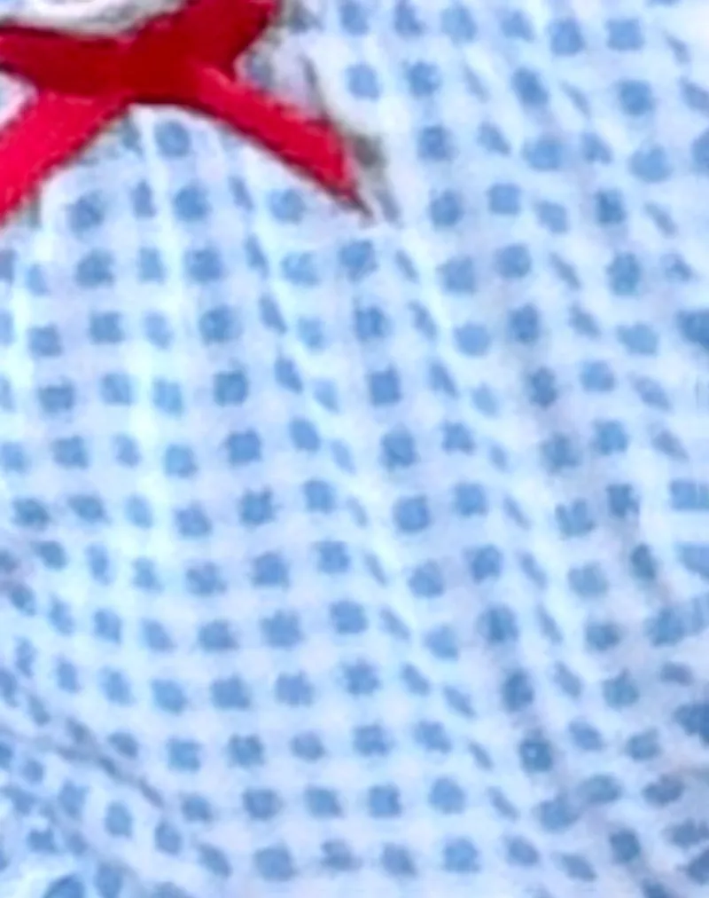 Pumyla Bikini Top in Blue Gingham with Bows sold by Motel Rocks product image thumbnail 5