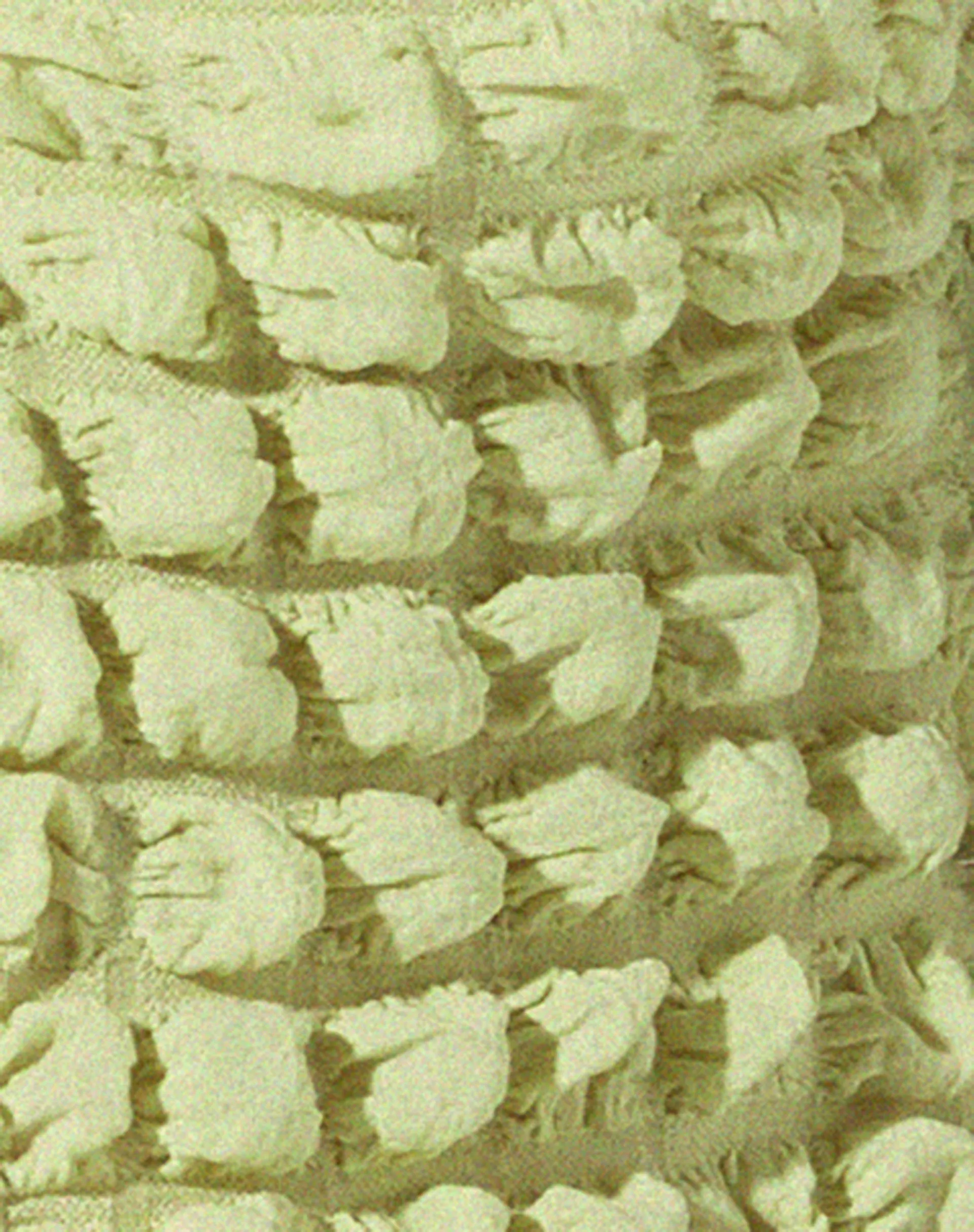 Neno Crop Top in Big Bubble Jersey Pastel Lime sold by Motel Rocks product image thumbnail 5