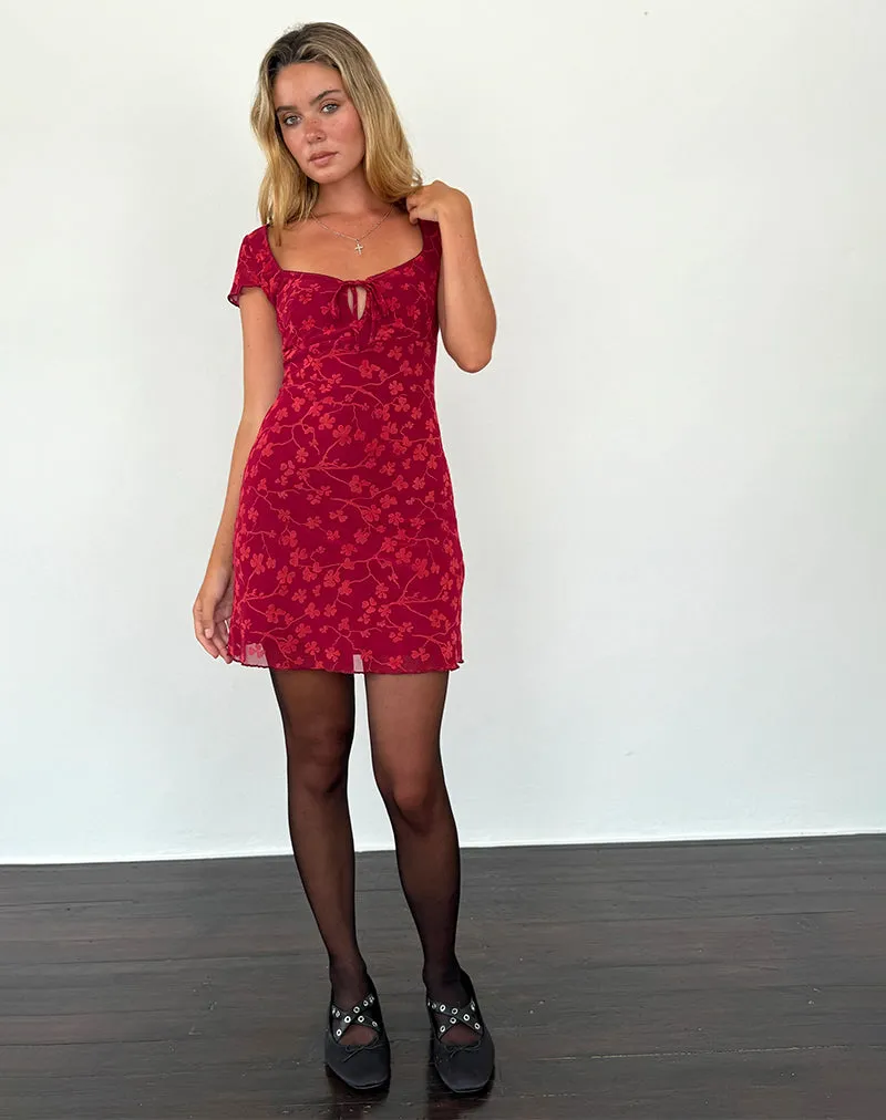 Lashka Mini Dress in Red Grunge Floral Flock sold by Motel Rocks product image thumbnail 4