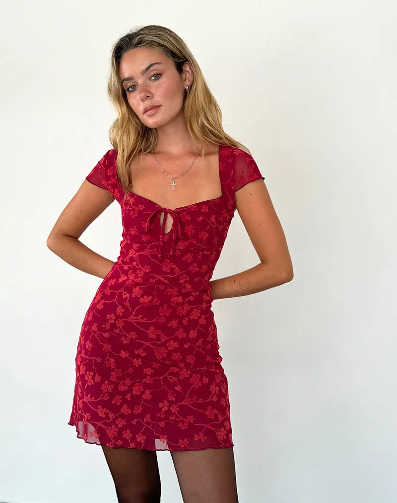 Lashka Mini Dress in Red Grunge Floral Flock sold by Motel Rocks
